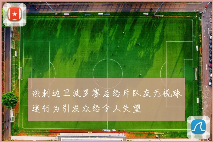 热刺边卫波罗赛后怒斥队友无视球迷行为引发众怒令人失望